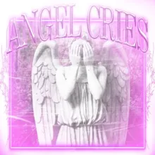 ANGEL CRIES