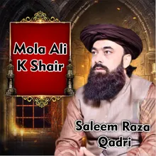Mola Ali K Shair