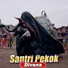 Santri Pekok