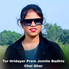 Tor Hridayer Prem Jomite Badhte Chai Ghar