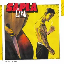 SAPLA