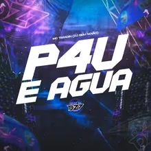 P4U E ÁGUA