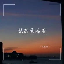 如果无法共鸣 那就选择独行