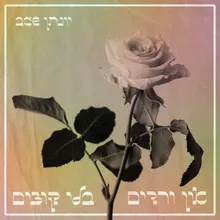 למטה מארח את רוישה