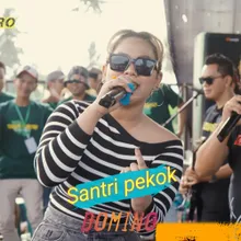 Santri Pekok