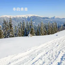 夜深知雪重