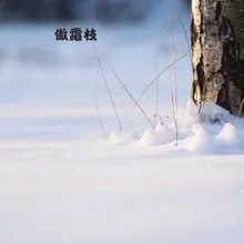 雪乱舞