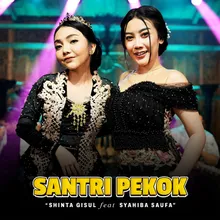 Santri Pekok