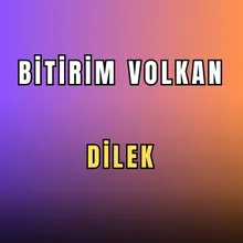 DİLEK