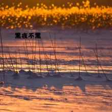 窗外细雪