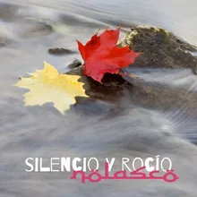 Silencio y rocío