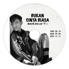 Bukan Cinta Biasa