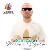 Marea Viselor