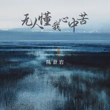 无人懂我心中苦