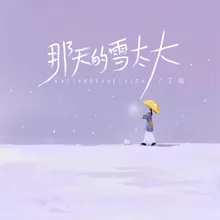 那天的雪太大