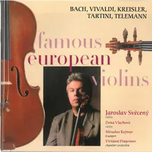 Concerto in re maggiore per violino, archi e continuo, D. 21: II. Grave