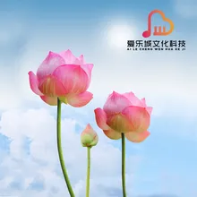 穿花蜂