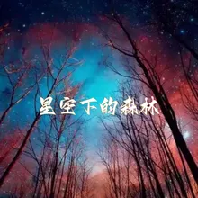 星空下的森林