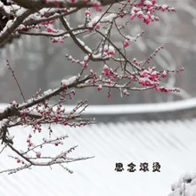 雨后江南