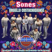Sones Orgullo Costachiquense: Son Del Torito / Son De La Chingona / Son De Mochitlán / Son Del Toro Bravo