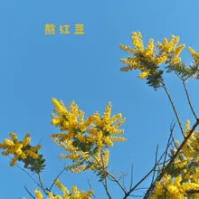 繁花