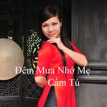 Đêm Mưa Nhớ Mẹ 2