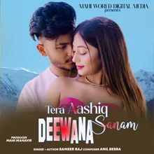 Tera Aashiq Deewana Sanam