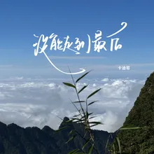 没能走到最后