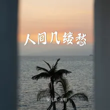 人间几缕愁