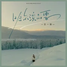 哈尔滨的雪