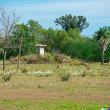 Entre San Juan y Mendoza