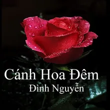 Hôm Nay Em Hạnh Phúc 2