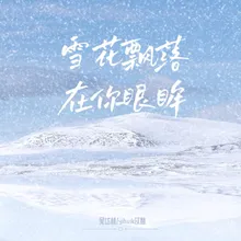 雪花飘落在你眼眸