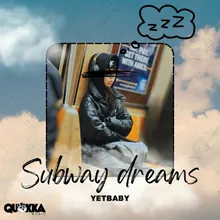 Subway Sleep