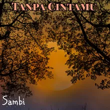 Tanpa Cintamu