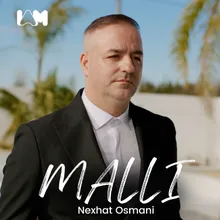 Malli