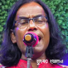 আমি কি করিবো রে