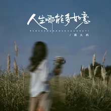 人生哪能多如意