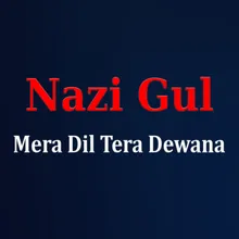 Mera Dil Tera Dewana