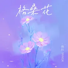 格桑花