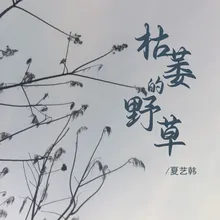 枯萎的野草