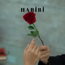 Habibi