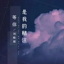 等你是我的赌注