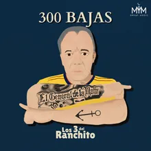 300 Bajas
