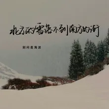 北方的雪落不到南方的街