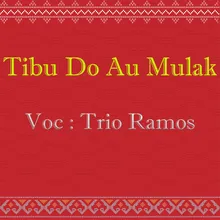 Tibu Do Au Mulak