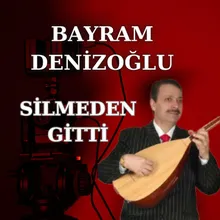 Silmeden Gitti