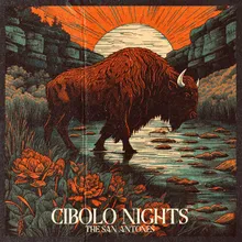 Cibolo Nights