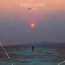 Fake Love