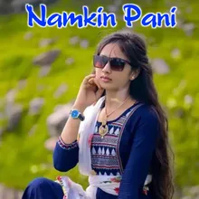 Namkin Pani